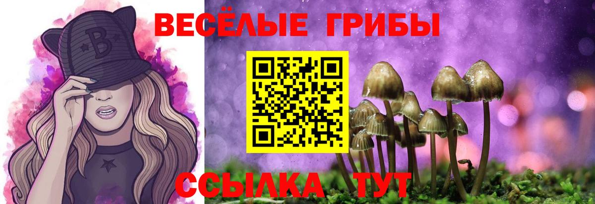 Галлюциногенные грибы Magic Shrooms Сухой Лог