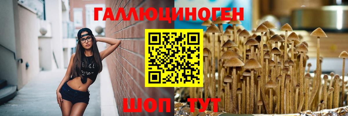 Сухой Лог  Псилоцибиновые грибы мухоморы  купить наркотики сайты  Вход с VPN 